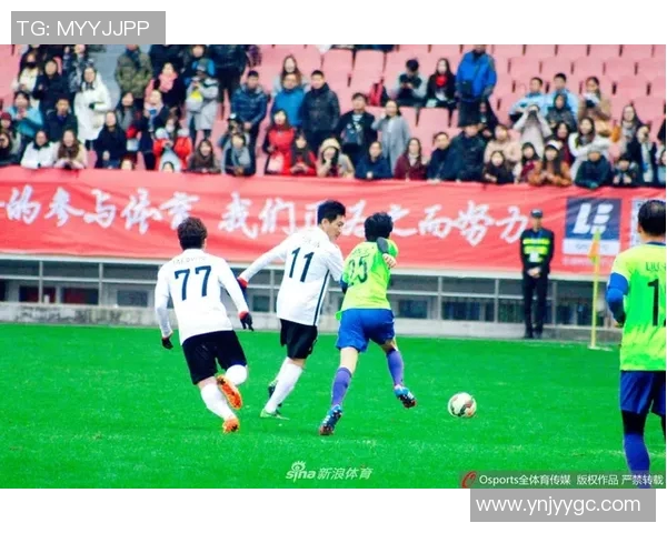 足球明星的荣耀与称号揭秘探索他们背后的故事与成就